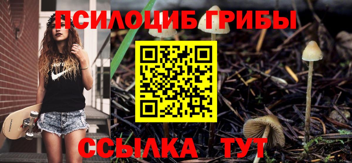 как найти закладки  Вход с VPN  Псилоцибиновые грибы мицелий  Миасс  Галлюциногенные грибы MAGIC MUSHROOMS 