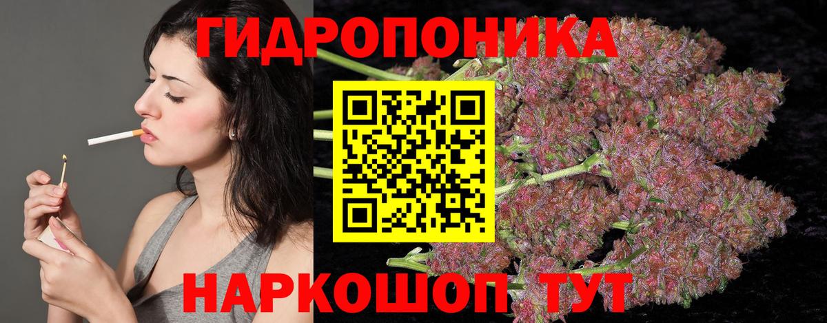 МАРИХУАНА сатива Миасс